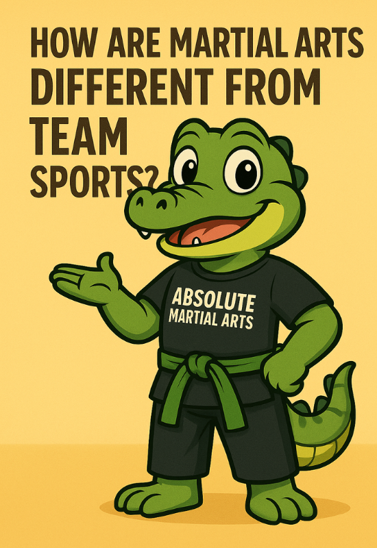 How Are Martial Arts Different From Team Sports
